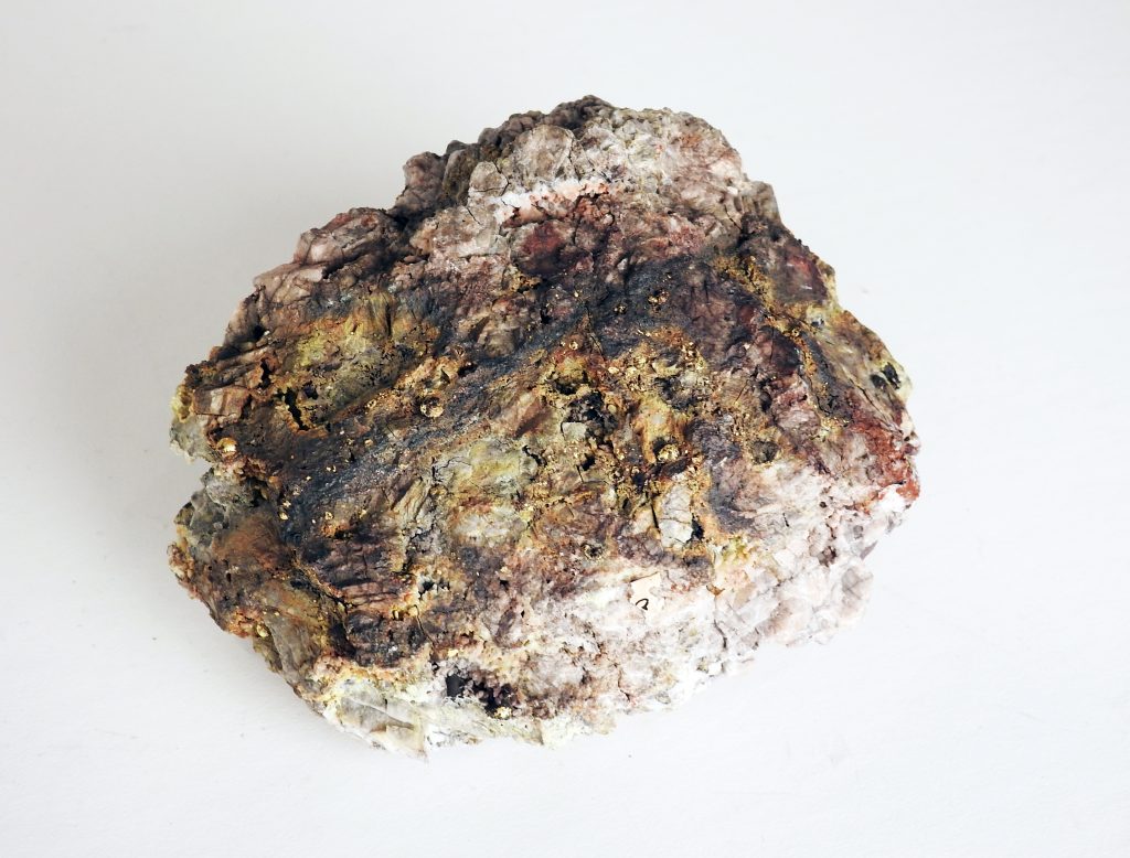 C.O.D. Gold Ore Specimen, ca. 1895. Generously loaned by Thayer Tutt