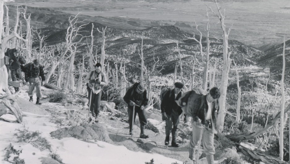 Climber traverse the Dismal Forest, c. 1961