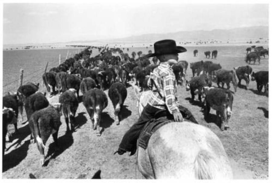 A young Kirk Hanna is photographed on horseback in 1962