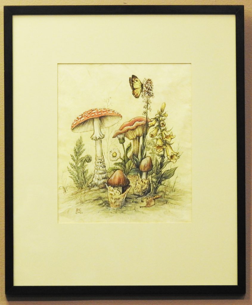 Artistic composition of butterflies, mushrooms, and small florals/foliage.