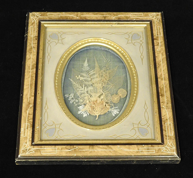 Skeletal Leaves Shadowbox, Generously Donated by Jessie Aiken, Unknown Artist 