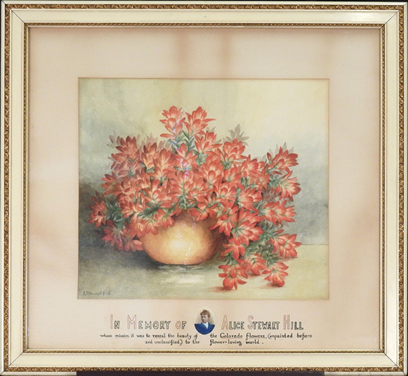 "Indian Paint Brushes" by Alice Stewart Hill 