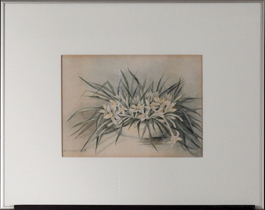 "Crocuses" by Alice Stewart Hill