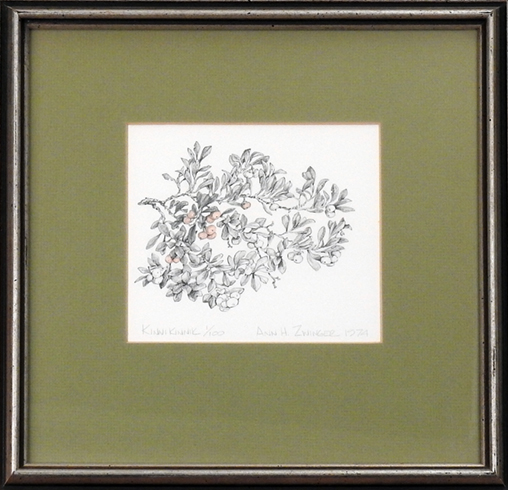 "Kinnikinnik" by Ann H. Zwinger