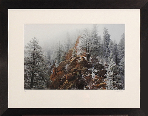 "Crystallized Trees" by Melani Tutt